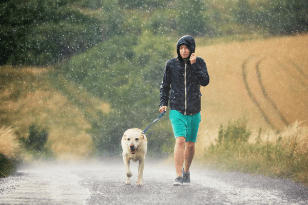 Benefits Of Rain Walks